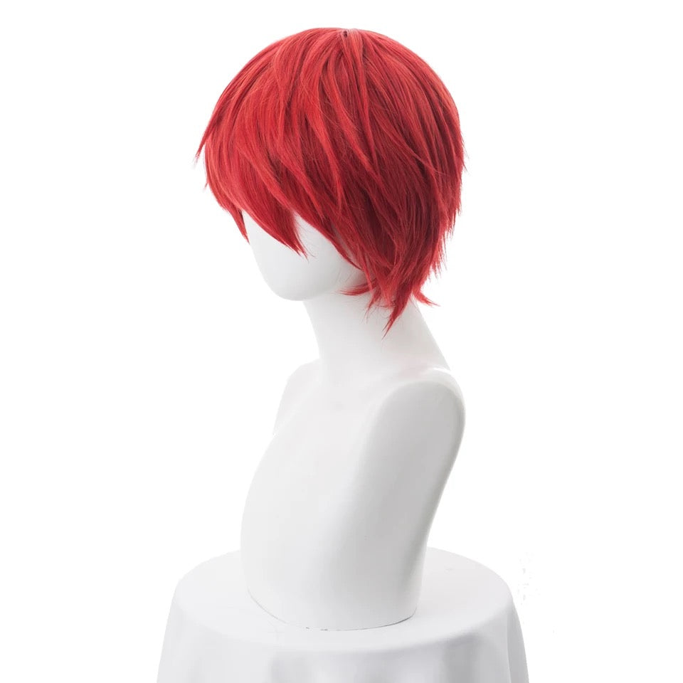 Anime Cosplay Wig