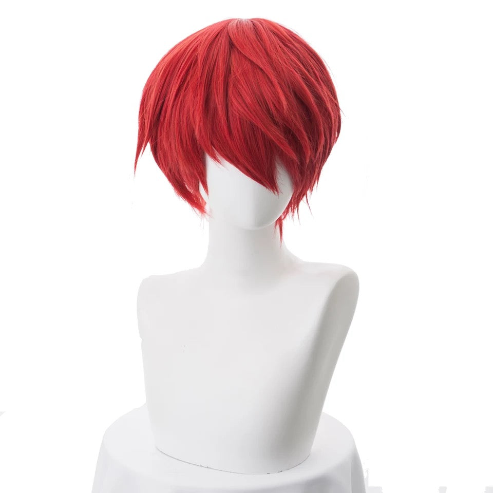 Anime Cosplay Wig