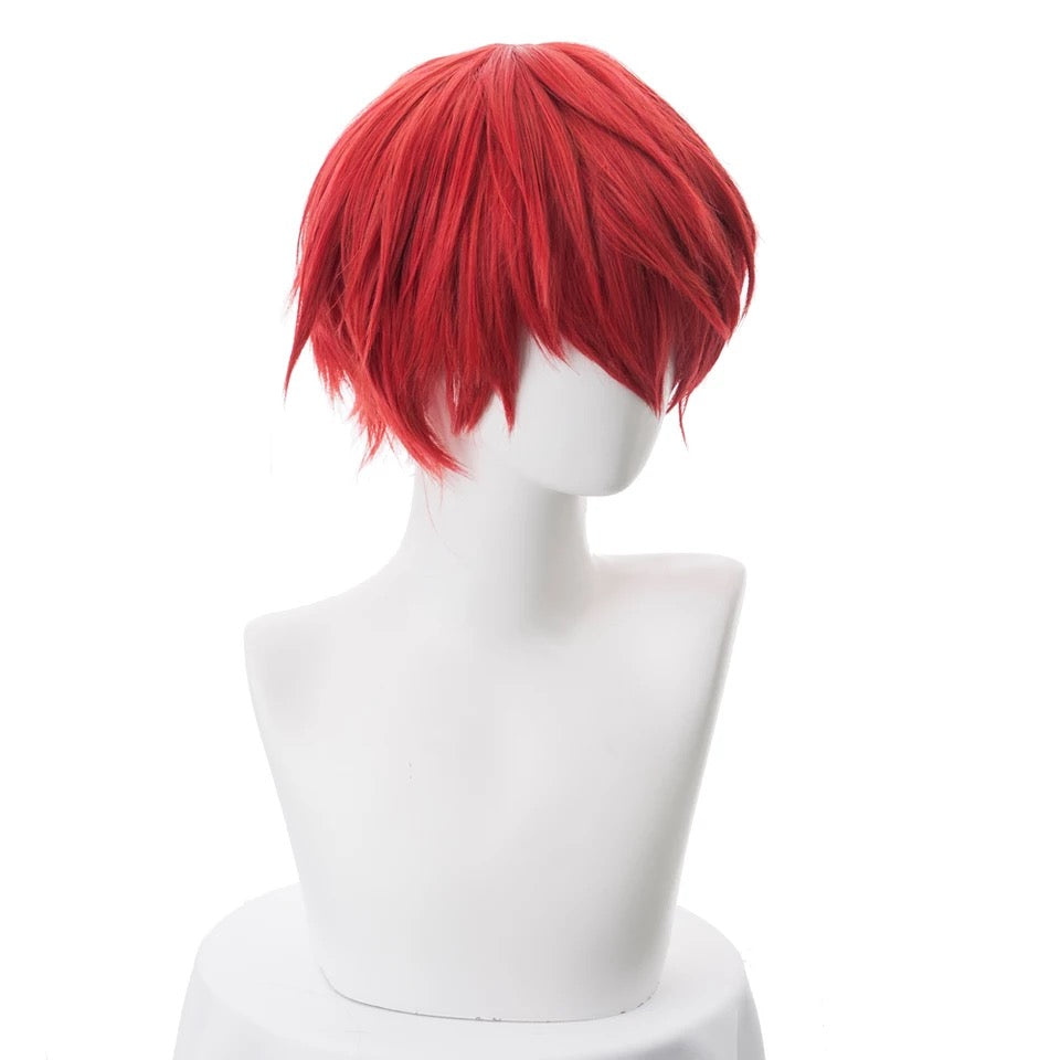 Anime Cosplay Wig