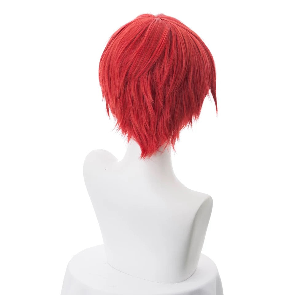 Anime Cosplay Wig
