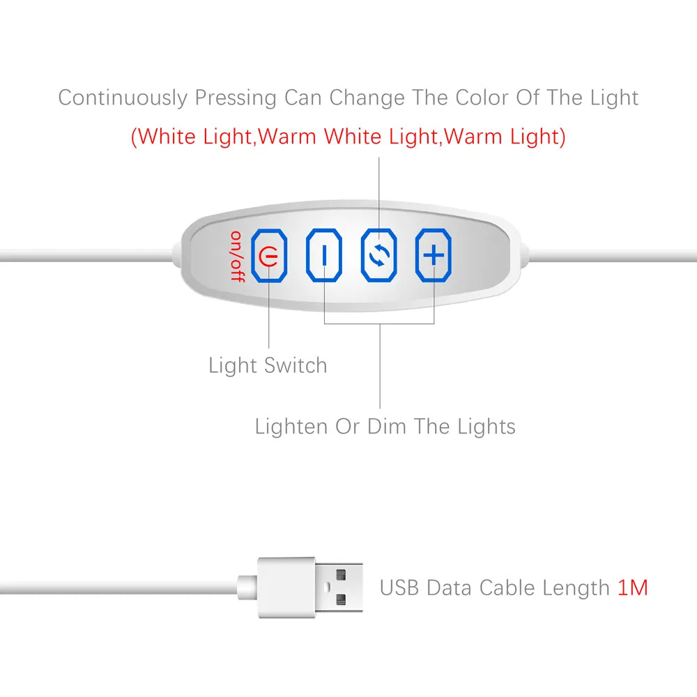 Jujutsu Kaisen Diseño artístico LED multicolor