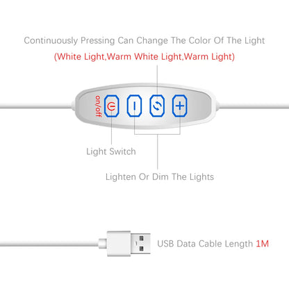 Jujutsu Kaisen Diseño artístico LED multicolor