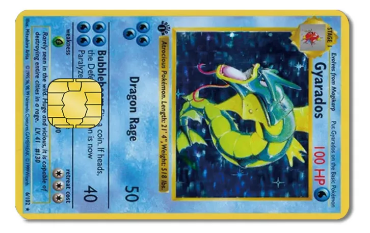 Pokémon VISA Card Skin