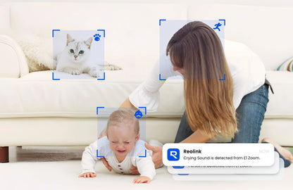 Reolink WiFi 4MP Camera 360°